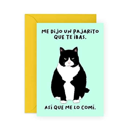 Central 23 Divertida Tarjeta de Felicitación para Mujer, Hombre- un pajarito. que te ibas - Tarjeta de despedida para Hijo o Hija - Tarjeta de Nuevo Trabajo - diseño de gato - con pegatinas