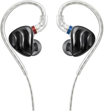 FiiO Dynamic Driver Hybrid Wired Earphones Bundle with Earphone Case for WF-SP800 and WF-XB700 True Wireless Earbuds Bundle (2 Items)
