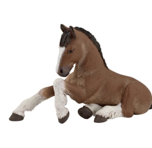 Jocs Esemebe Potro Shire