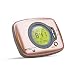 HONWELL Ultra Thin Pillow Alarm Clock Vibrating Alarm Clock Battery Operated Portable Travel Alarm Clock Digital Dual Alarm Clock for Bedrooms Bedside Heavy Sleepers