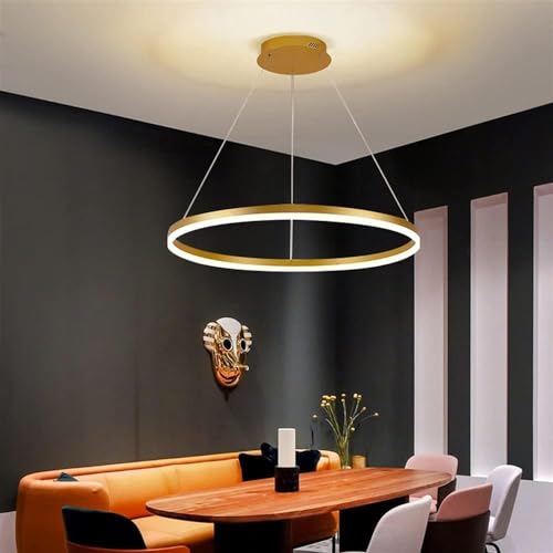 Lustre moderne brossé pour ajuster la lumière sans se déplacer - 5