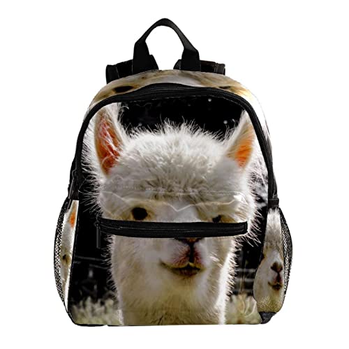 Sac à dos pour garçons et filles motif alpaga 30,5 cm : cadeau parfait de rentrée