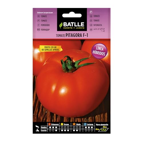 Semillas Hortícolas Híbridas - Tomate Virgilio F-1 - Batlle