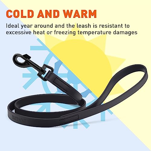 Dogline Biothane Waterproof Dog Leash Strong Coated Nylon Webbing With Black Hardware Odor-Proof For Easy Care Easy To Clean High Performance For Small Or Large Dogs Made In Usa 4 Or 6 Ft Lead #TOP5