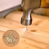 720 szt., różne gwoździe do drewna, gwoździe z płaską główką, złote okucia, obrazki ścienne, zestaw pinezek, akcesoria wykończeniowe, do zawieszania ramek na zdjęcia, lustrzanej konstrukcji, 720 szt