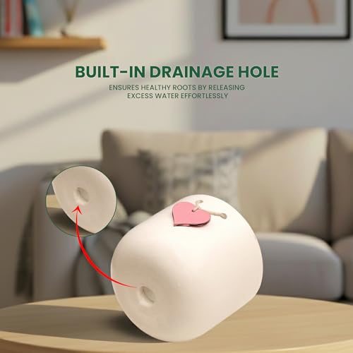 Image of Urban Plant Cherish Terracotta Pot with Heart Tag | 4.7 Inch Matte Finish Planter with Drainage Hole | Decorative Indoor Tabletop Flower Pot for Gifting & Home Decor