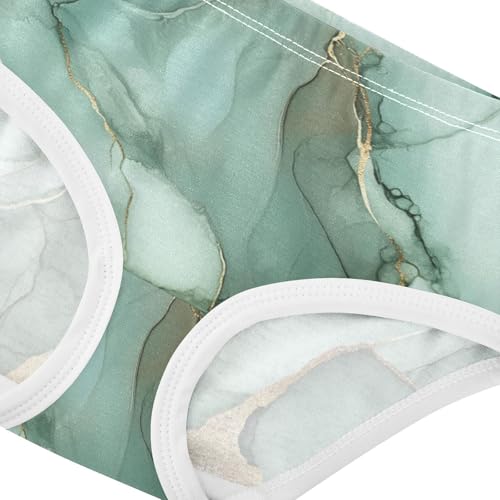 Cotton Briefs Panties Comfort Underwear for Baby Girls in Sizes 2T,3T, 4T, 5T, 6Y and 8Y4