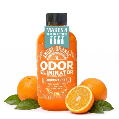 Angry Orange Concentrate Comparison in 2026 (Tested & Reviewed)