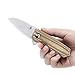 Kizer Pocket Knives 2.39 Inch N690 Blade with Brown Micarta Handles Folding Knife for Men, Lieb -V2541N4