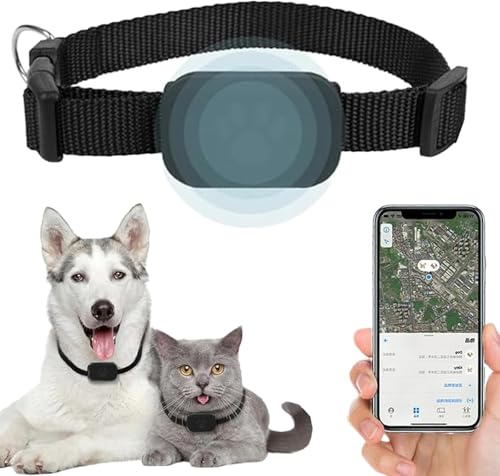 Générique Collare GPS Chat Tracker – Tracker GPS Localizza facilmente