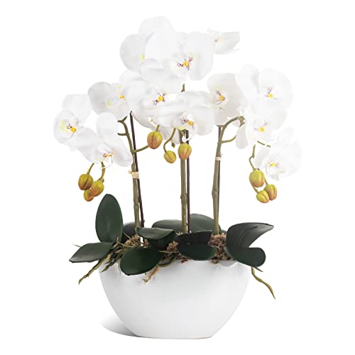 Image of Ziwon Artificial Orchid Flowers Potted in Ceramic Pot, White Faux Phalaenopsis Orchids for Table Centerpiece, Realistic Fake Flower in vase for Home Office Decor Indoor