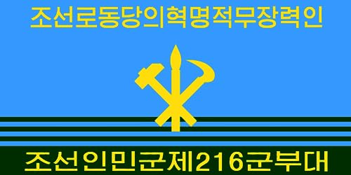 Drapeau Force Aérienne Corée du Nord 1993-2023 pour exposition murale
