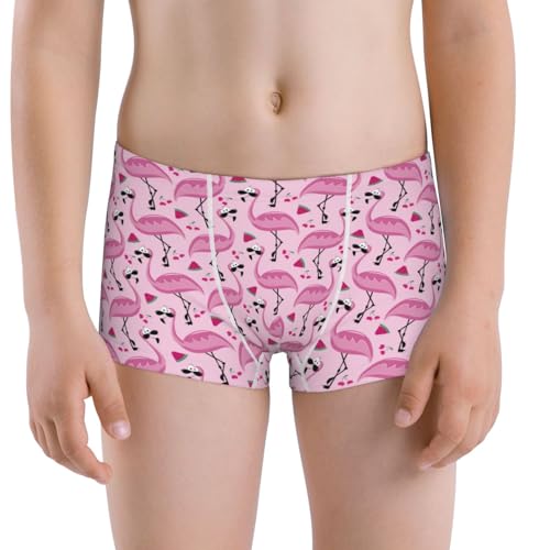 Boys' Cotton Boxer Brief Soft Underwear-Cute Watermelon Flamingo