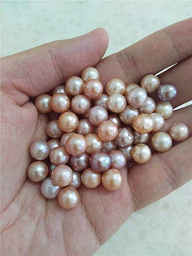 5PCS Oysters with Edison Pearl Inside,Edison Pearl Oyster,Large Big Pearls