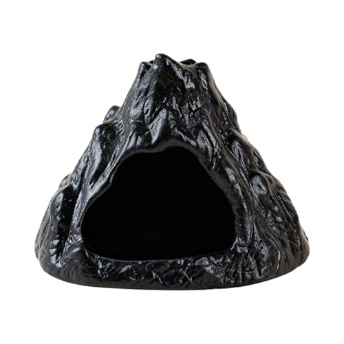 NonMiFyR Iȓ̍FAJg[X^C̃gC