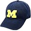 Michigan M Navy