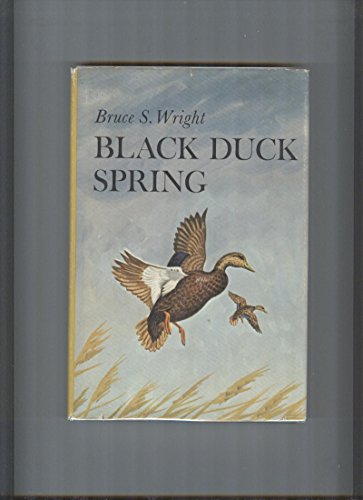 Black Duck Spring view 2
