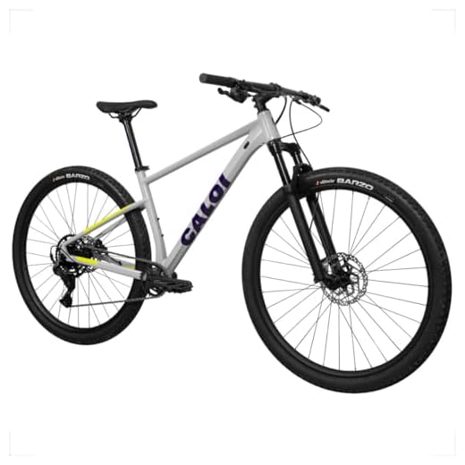 Bicicleta Caloi Explorer Comp A24 TMR29V29 Cinza - 004765.19005