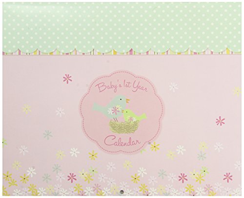 C.R. Gibson Baby's First Year Calendar, by Carter's Stickers Provided, Measures 11 x 18