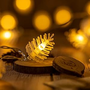 50 Pinecone String Lights, 25ft USB Powered Decorative LED Novelty String Lights (Pine Cone) 50 Pinecone String Lights 25ft USB Powered Decorative LED Novelty String Lights Pine Cone