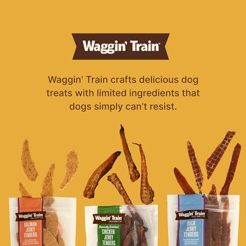 Image of Waggin' Train Salmon Jerky Dog Treats for Skin and Coat Support, Made with 100% Real Salmon, No Grains and No Artificial Flavors or Colors, High Protein Dog Treat, Easily Digestible, 36 oz. Pouch
