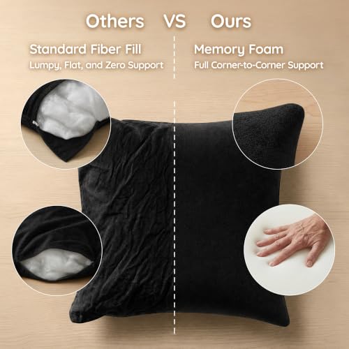 Image of AM AEROMAX 22x22 Memory Foam Throw Pillow Inserts, 2 Pack, Square, Black