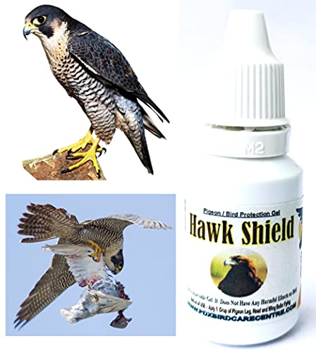 Pigeon Protect from Falcon Hawk and Eagle || Hawk Shield Gel || Medicine by PDX || Pigeon Medicine || Pigeon Treatment Medicine || Pigeon Products || PDX Bird Care Centre (100 Pigeon Cover Capacity)