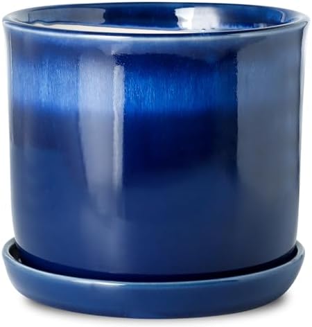 8 Inch Plant Pots : Ceramic Planter Pot …