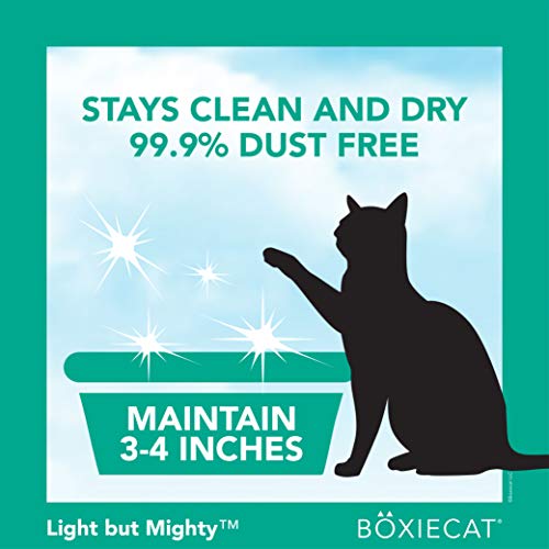 Boxiecat Air Lightweight Premium Clumping Cat Litter -Gently Scented- 11.5 Lb- Plant-Based Formula -Stays Ultra Clean, Longer Lasting Odor Control, 99.9% Dust Free #TOP6