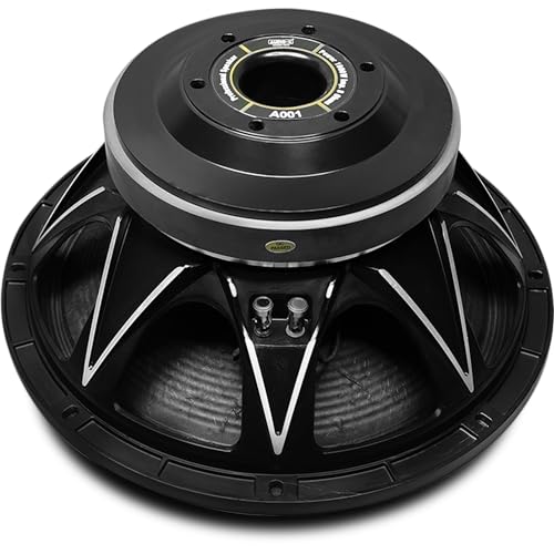 AUDIO-X A001 15-Inch 1000W DJ Subwoofer Speaker OHM, inch