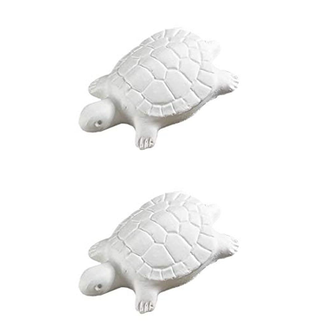 COLOURFUL AQUARIUM ® - Turtle Conditioner Calcium Plus Food, (Pack of 2) (B073T4TV7J) Amazon Price History, Amazon Price Tracker