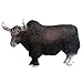 FLORMOON Black Yak Figure Realistic Animal Figurines Early Educational Dog Toy Science Project Christmas Birthday Cake Topper for Kids Toddler (Black)