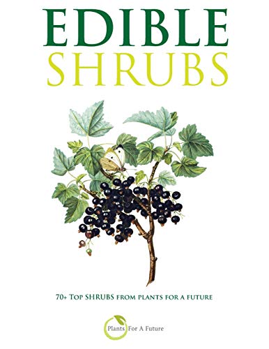 EDIBLE SHRUBS: 70+ Top Shrubs from Plants For A Future Livre eBook France