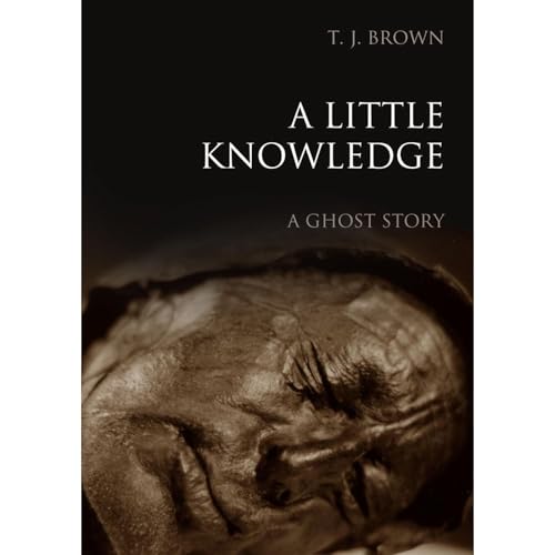 A Little Knowledge Audiolibro Por T. J. Brown arte de portada