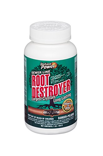 Scotch Brand Scotch 1885 LB Root Destroyer