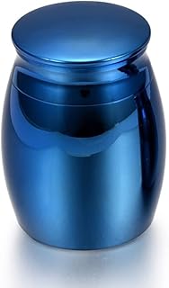 KBFDWEC Tarro en Blanco de Acero Inoxidable, Recuerdo, Funeral para Cenizas, urna, cremación Personalizada para Mascotas, Cenizas humanas, Grande, 40 mm, 29 mm, Color Azul