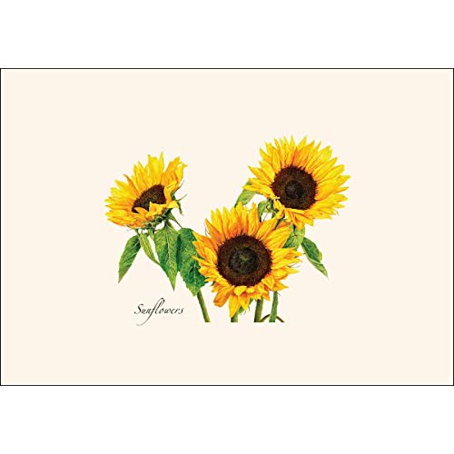 Image of Earth Sky + Water - 3 Sunflowers Notecard Set - 8 Blank Cards with Envelopes