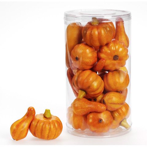 Darice Mini Decorative Realistic Fall Pumpkins and Gourds - Pkg of 24