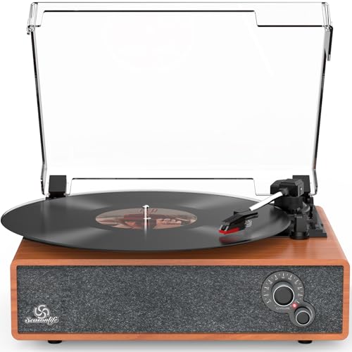 Vinyl Record Player Built-in Stereo Speakers Vintage Turntable