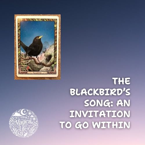 Ambient Meditation Druid Dubh - The Blackbird&rsquo;s Song: An Invitation to Go Within
