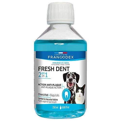 Francisco Codex Fresh Dent Petit Chien Cover