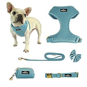 Dog Harness for Small Dogs No Pull: Adjustable Mesh Puppy Harness and Leash Set, Harness Medium Size Dog, Puppy Collar and Leash Set with Bow Tie & Poop Bag, Dog Vest Harness (Small)