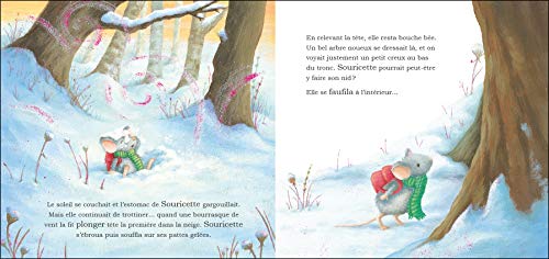 Photo complémentaire