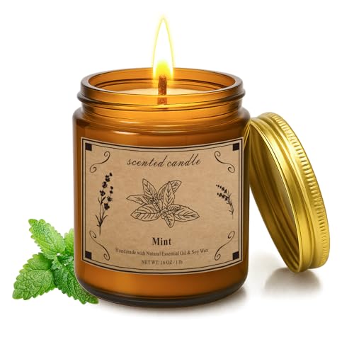 Home Scented Candles 16oz Large Jar Scented Candle Mint Soy Wax Candle with 100 Hour Burn Time Long Lasting Aromatherapy Candle for Cooling Freshness Relaxing Home Fragrance & Gift Candles