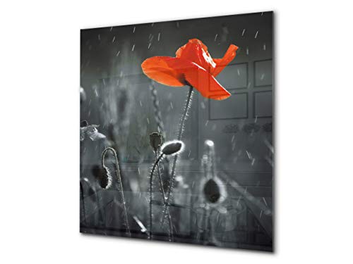 Glass Kitchen backsplash – Tempered Glass splashback – Photo backsplash BS03 Flower Series: Red Poppy