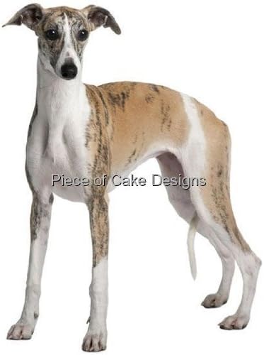 whippet cake