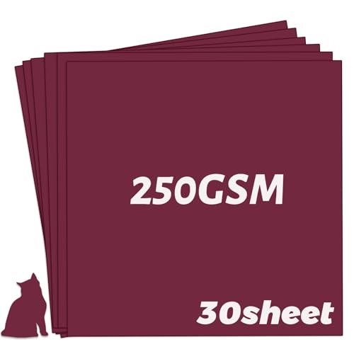 YINUOYOUJIA Cartulina de papel grueso de 12 x 12 pulgadas, 30 hojas, 250 g/m²/90 libras, papel de construcción rojo vino, cartulina borgoña… (granate, 30)