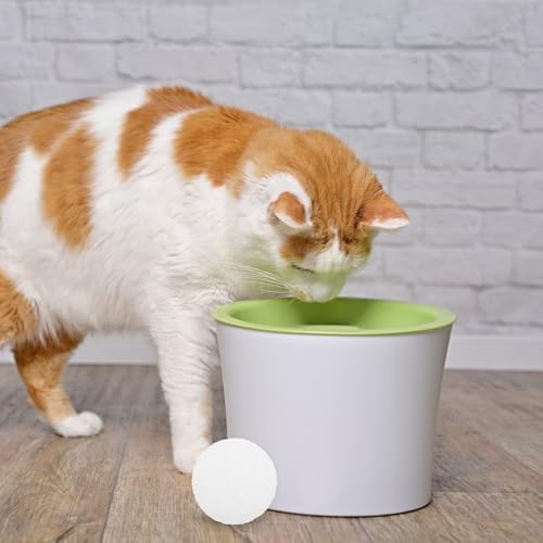 Filtres mousse de rechange COLLBATH pour fontaine eau chat | Élimine poils et débris - 7