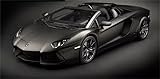 ACE HOBBY for Pocher for Lamborghini for Aventador for LP700-4 Roadster for Nero Nemesis 1:8 Car Pre-Built Model