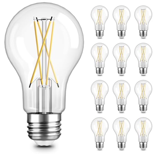 TJOY 12 Pack A19 Vintage LED Edison Bulbs, Dimmable, 60W